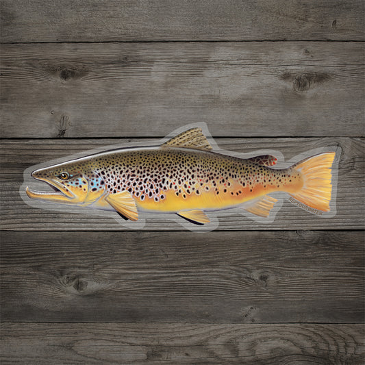 CRAPPIE STRINGER Sticker Decal fly fishing 5 x 3 1/2 glossy