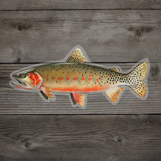Localwaters River Don Scotland Fly fishing sticker brown trout