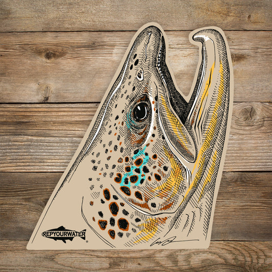 Pen and ink drawing with color pop of a brown trout head